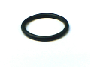 Engine Oil Pan Gasket